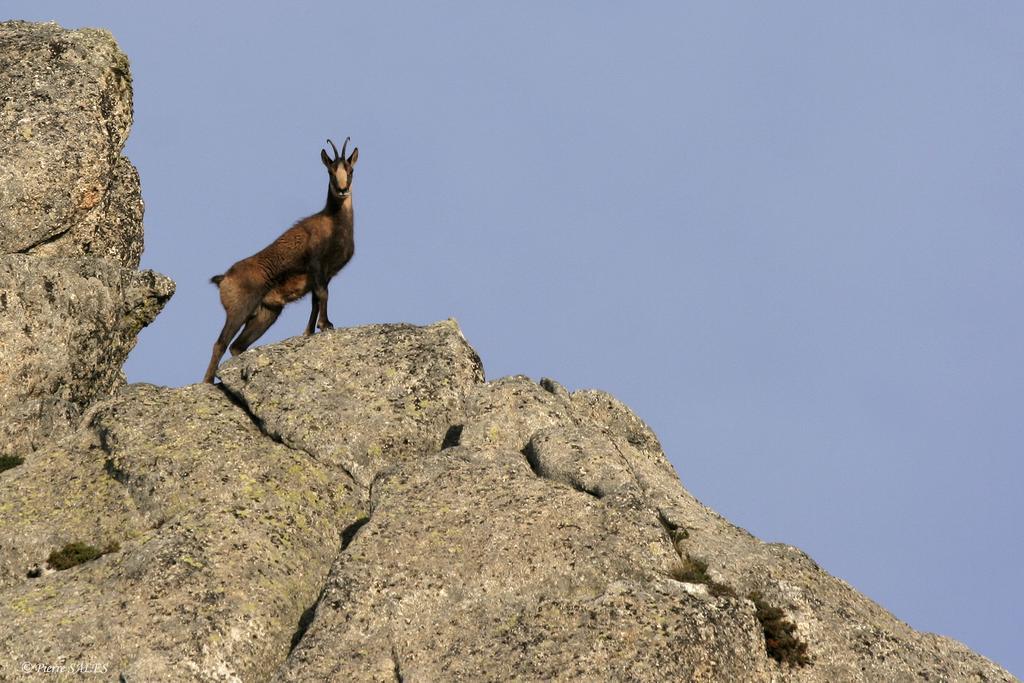 Vvf Pyrenees Canigou Prats-de-Mollo-la-Preste Εξωτερικό φωτογραφία